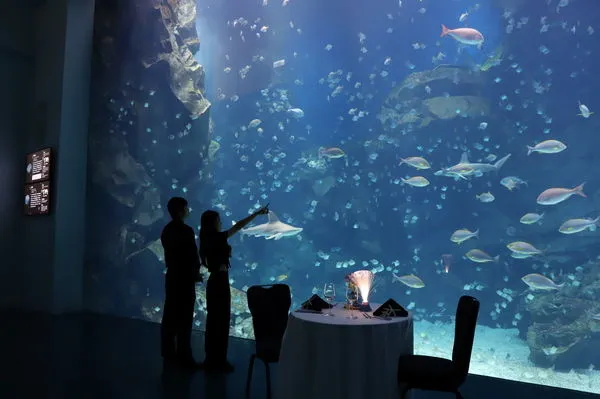 ▲全台唯一水族饗宴時尚海洋系跨年在桃園