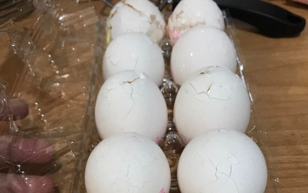 ▲▼ 。(圖/翻攝自翻攝自Facebook/我愛全聯-好物老實説)