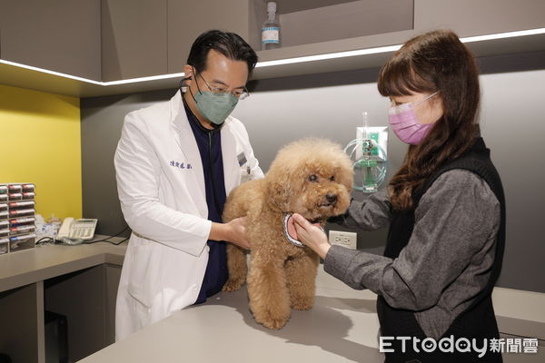 ▲▼慈愛動物醫院東森廣場店。（圖／記者湯興漢攝）