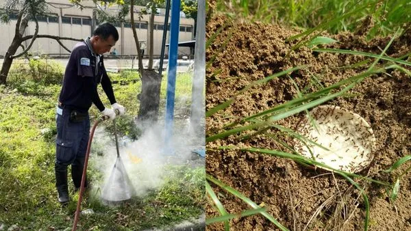 ▲▼三峽給水廠紅火蟻現蹤 新北進場高溫熱蒸氣滅除。(圖/新北市農業局提供)