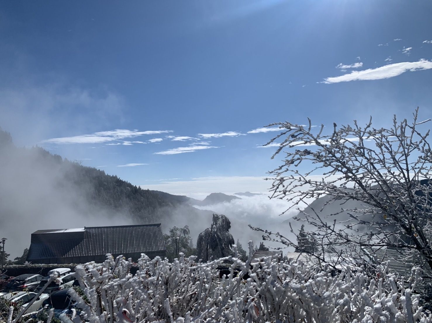 ▲▼太平山國家森林遊樂區霧淞。（圖／羅東林管處提供）