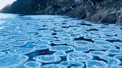 英國寒流報到！河面泡沫結凍「冰鬆餅現蹤」　片狀漂浮奇景超壯觀