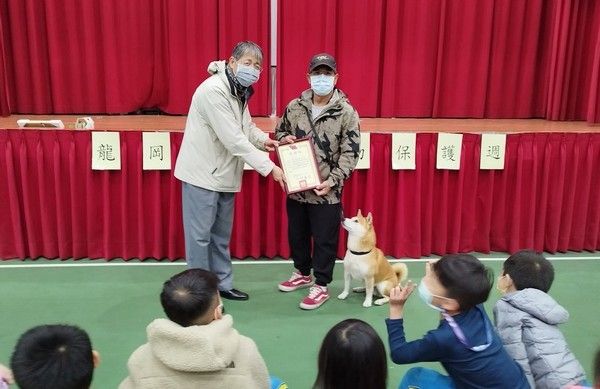 ▲桃園開放公家單位認養流浪動物