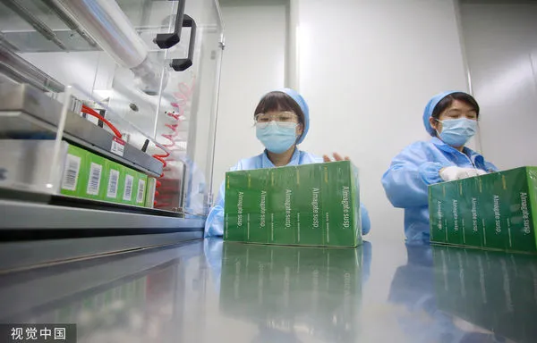 ▲江蘇揚州一間藥企趕工生產新冠藥物。(圖/CFP)