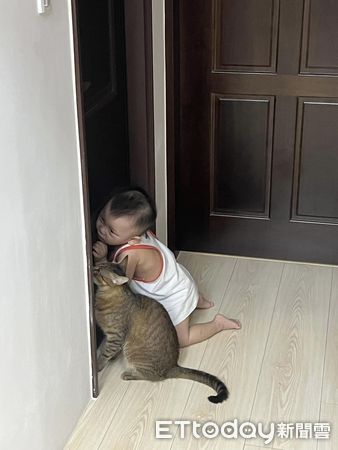 貓咪跟寶寶黏踢踢。（圖／飼主黃凱郁提供）