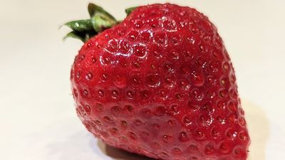 草莓季來了！日10年蔬果專員「教挑草莓不踩雷」　這樣看最甜最新鮮