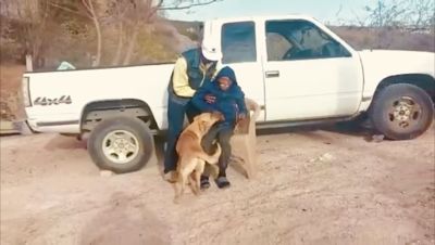 墨西哥8旬老翁散步失蹤！搜救隊「靠愛犬帶路」　1周後成功尋回