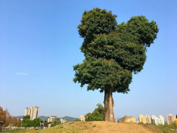 ▲▼ 大坑景點（圖／飛天璇的口袋提供）