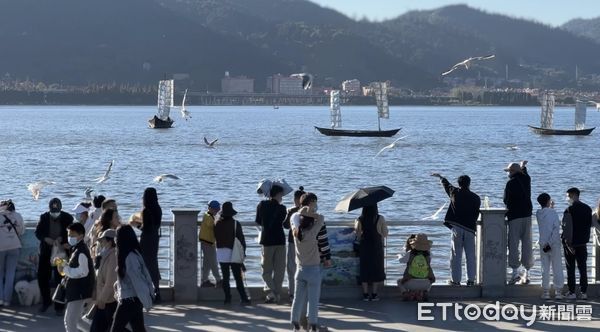 ▲▼ 雲南海埂大壩、海鷗 。(圖/記者任以芳攝)