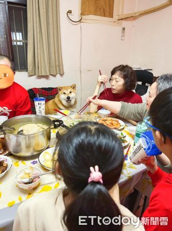 ▲初二圍爐！餐桌出現「超胖金孫」霸佔位置　媽嘆：婆婆說牠很可憐。（圖／粉專「芒果柚柚妹妹new life」提供，請勿隨意翻拍，以免侵權。）