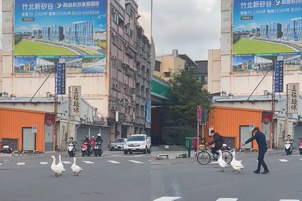 ▲▼新竹街頭有年菜在路上跑。（圖／翻攝臉書／新竹爆料公社）