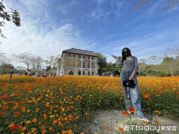 ▲台南山上花園水道博物館，除搭配古蹟規劃大片花海以外，還利用林木蒼鬱的密林區，舉辦結合環境教育的攀樹體驗。（圖／記者林悅翻攝，下同）