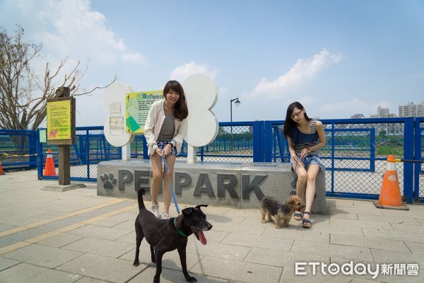 ▲春節與毛孩走春！推薦新北5座好玩寵物公園　還有專屬公車可以搭。（圖／新北市政府動物保護防疫處提供。）