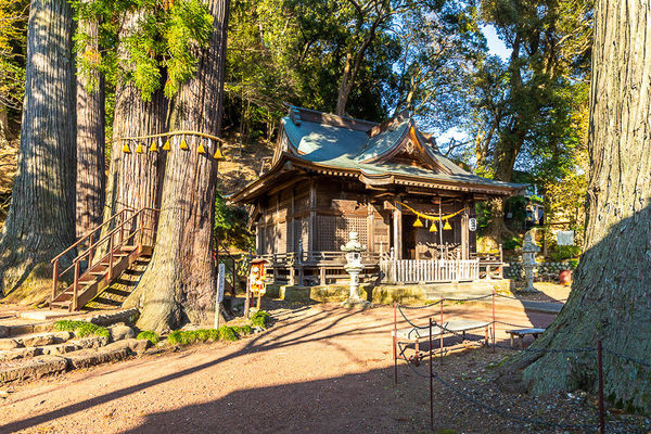 ▲▼伊豆修善寺。（圖／夏金剛的奇幻之旅）