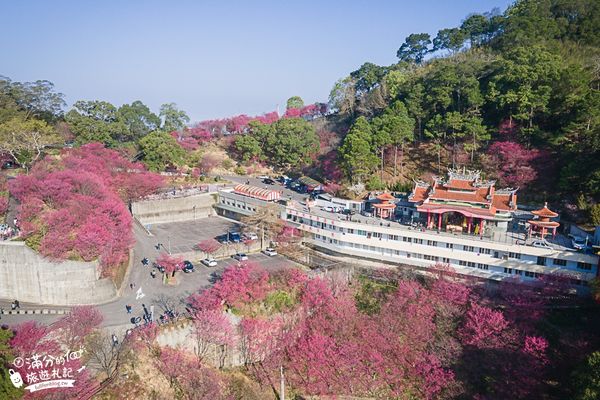 ▲▼ 協雲宮櫻花季（圖／滿分的旅遊札記提供）