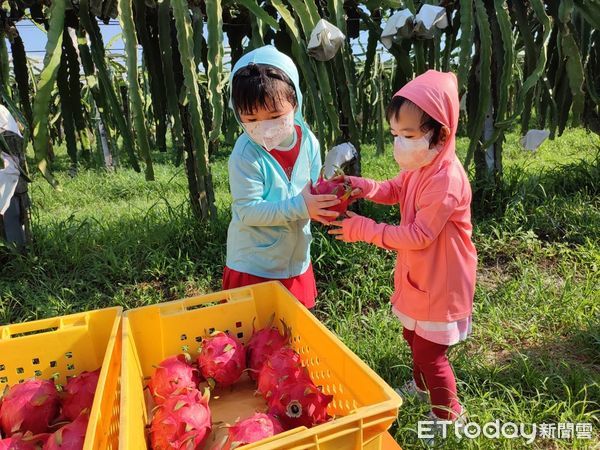 ▲彰化二林「開心火龍果」。（圖／台灣休閒農業發展協會提供）