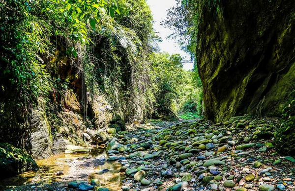 十八羅漢山保護區內有不少河谷，雨季時會有溪水溢流。（圖／翻攝高雄旅遊網）