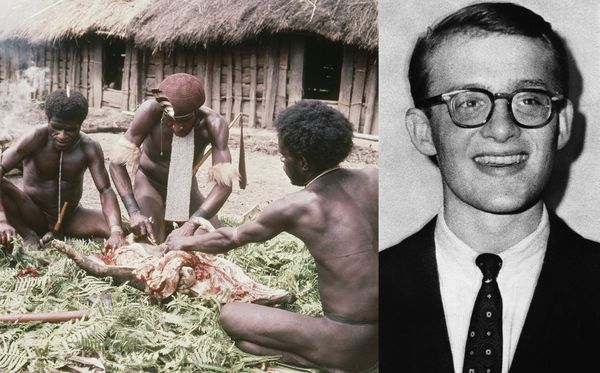 ▲▼美國豪門家族第四代麥可（Michael Rockefeller）1961年離奇失蹤，疑似被太平洋食人部落吃掉。（圖／美聯社）