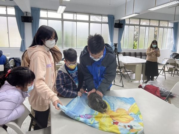 ▲桃園「我是小獸醫」育樂營，學習照顧寵物實用知能。（圖／教育局提供）