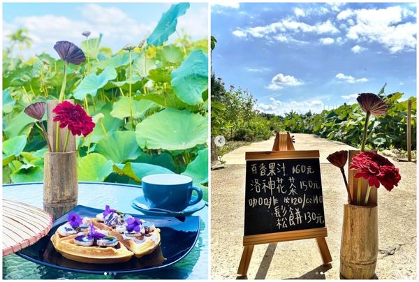 ▲「光倫禪園」種植以蓮花、洛神花為主的花卉。（圖／翻攝自guanglun_leisurefarm）