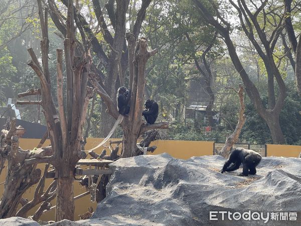 ▲▼高雄市壽山動物園。（圖／記者吳世龍攝）