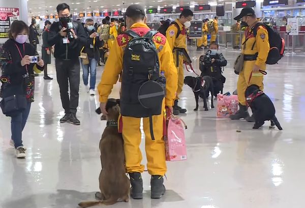 台灣搜救犬返台。（圖／攝影中心攝）