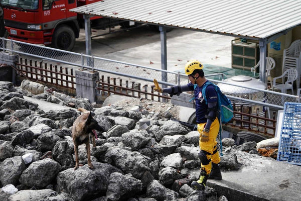 台南市搜救犬隊2隻搜救犬Kathy、Kenna取得瓦礫搜索中級認證，強化災後搜索能力。（圖／翻攝照片）