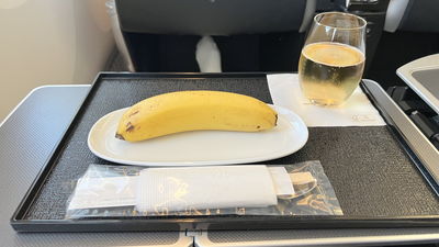7小時航班「搭商務艙選純素餐點」　他見內容物傻眼：一根香蕉？