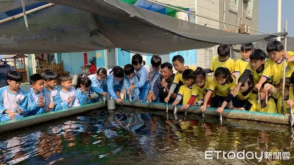 ▲南大附小與七股區篤加國小攜手台南大學USR,設計「班班懂石斑」課程,橫跨台南七股與高雄永安探究石斑魚。(圖/記者林悅翻攝,下同)
