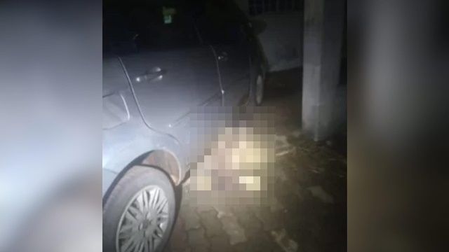 ▲▼巴西一名男子被拖屍40公里。(圖/翻攝推特)