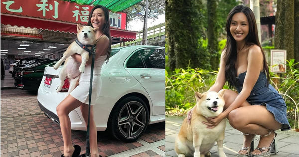 32歲女星薔薔養了一隻12歲的愛犬「栗子」。（圖／翻攝薔薔臉書）