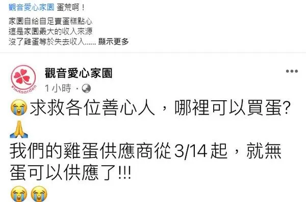 ▲「觀音愛心家園」烘培坊蛋商停供雞蛋