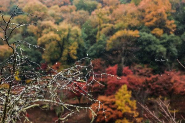 ▲▼創造非日常體驗！再訪日本京都虹夕諾雅。（圖／陳耀恩 Ean Chen提供）