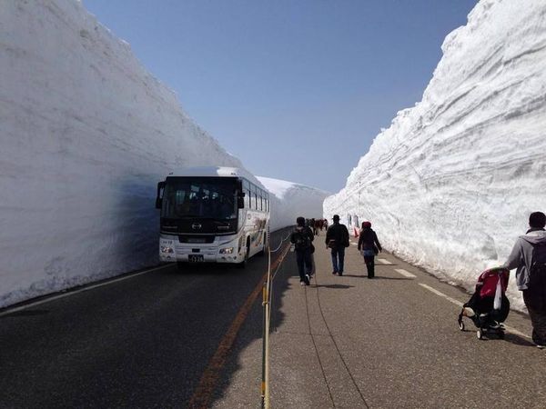 立山黑部「漫步雪之大谷」為季節限定的體驗活動。（翻攝立山黑部官方粉絲團）