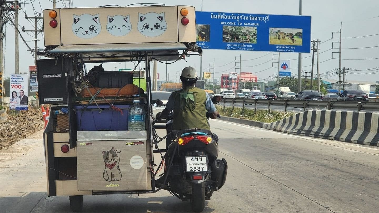 ▲▼泰國男子的摩托車之旅帶上11隻愛貓。（圖／翻攝自Facebook／@kingdomoftigers）