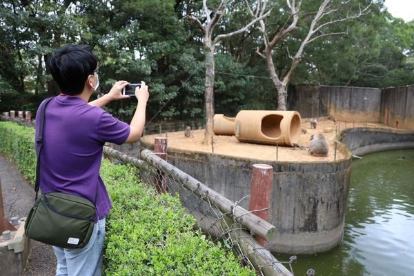 ▲▼新竹縣政府23日下午會同林務局人員至六福村園區查察狒狒飼養狀況。(圖/新竹縣政府提供)