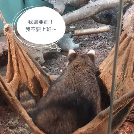 ▲▼台北市動物園表示「工讀生」都在。（圖／北市觀光傳播局提供）