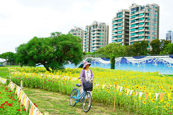 ▲▼美堤河濱公園。（圖／翻攝自台北旅遊網）