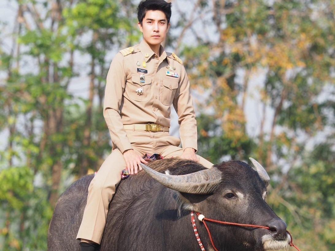 ▲泰國公務員潘和水牛的合照曝光後瞬間在網上走紅。（圖／翻攝自Facebook）