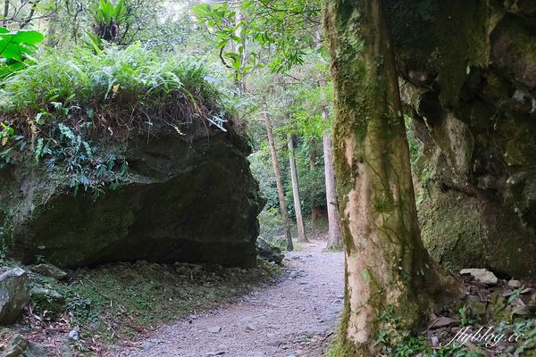 ▲▼新北三峽「滿月圓森林遊樂區」景點推薦。（圖／部落客飛天璇提供）