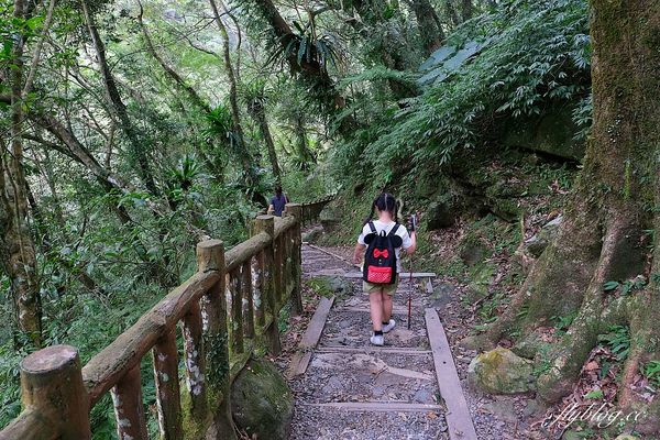 ▲▼新北三峽「滿月圓森林遊樂區」景點推薦。（圖／部落客飛天璇提供）