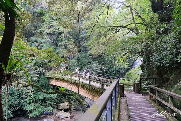 ▲▼新北三峽「滿月圓森林遊樂區」景點推薦。（圖／部落客飛天璇提供）