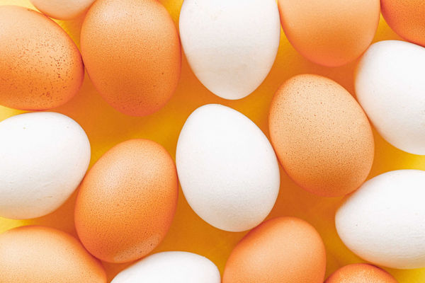 日本缺蛋3月蛋價創42年新高　直接衝擊18間連鎖餐廳停賣蛋料理
