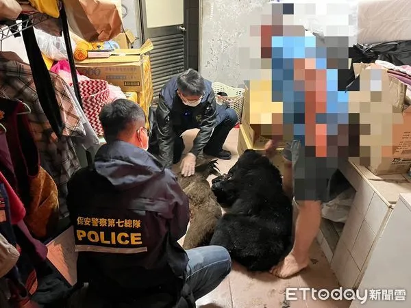 ▲屏檢檢警偵辦臺灣黑熊遭獵殺 。(圖/記者陳崑福翻攝,下同)