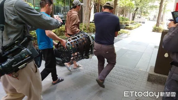 ▲▼ 。(圖/記者鄧木卿攝)