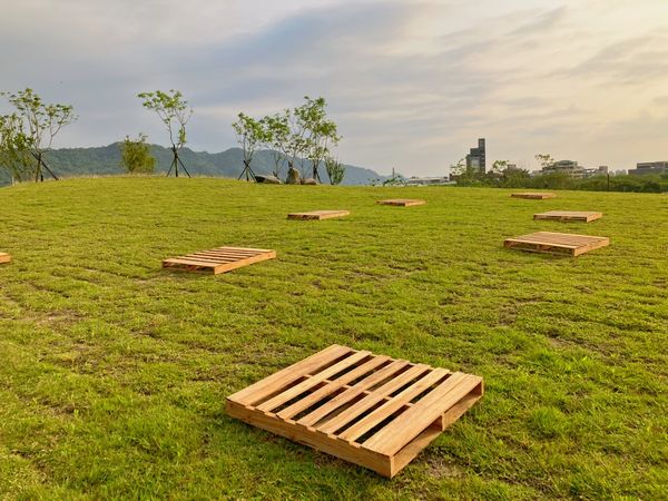 ▲▼新北市美術館園區開放。(圖/新北市文化局)