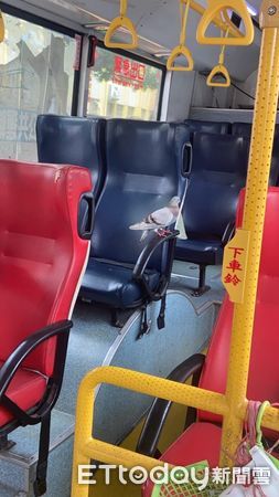 ▲▼懶得自己飛？台北出現「悠閒帥鴿」偷偷搭公車　網笑：記得刷卡。（圖／網友授權提供，請勿隨意翻拍，以免侵權。）