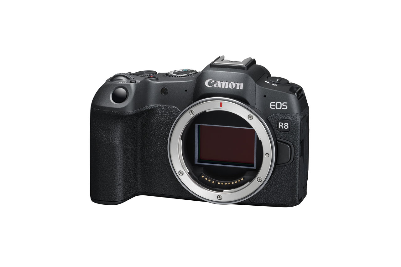 ▲▼相機收購Canon新一代入門無反相機EOS R8。（圖／翻攝自相機收購Canon官網）