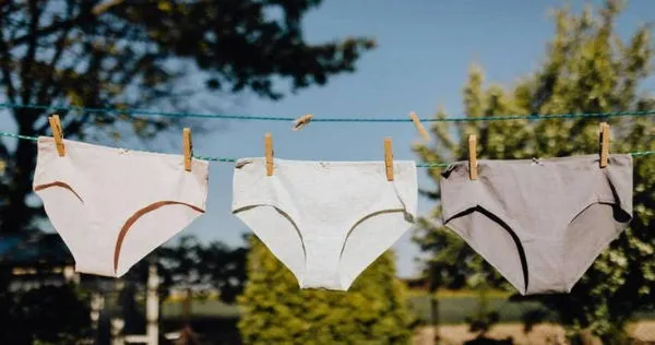 (示意圖/翻攝自pexels)