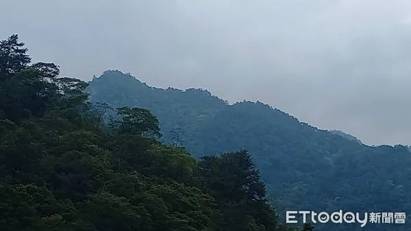 ▲▼ 。(圖/記者李陳信得攝)